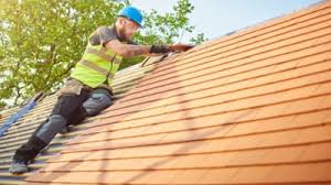 Best Roof Moss and Algae Removal  in Southwood Acres, CT